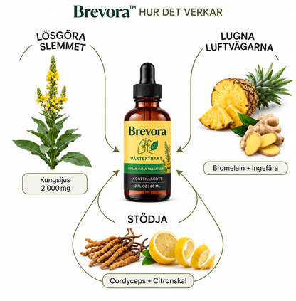 Brevora™ | Örtdroppar för friska luftvägar & behagligare andning