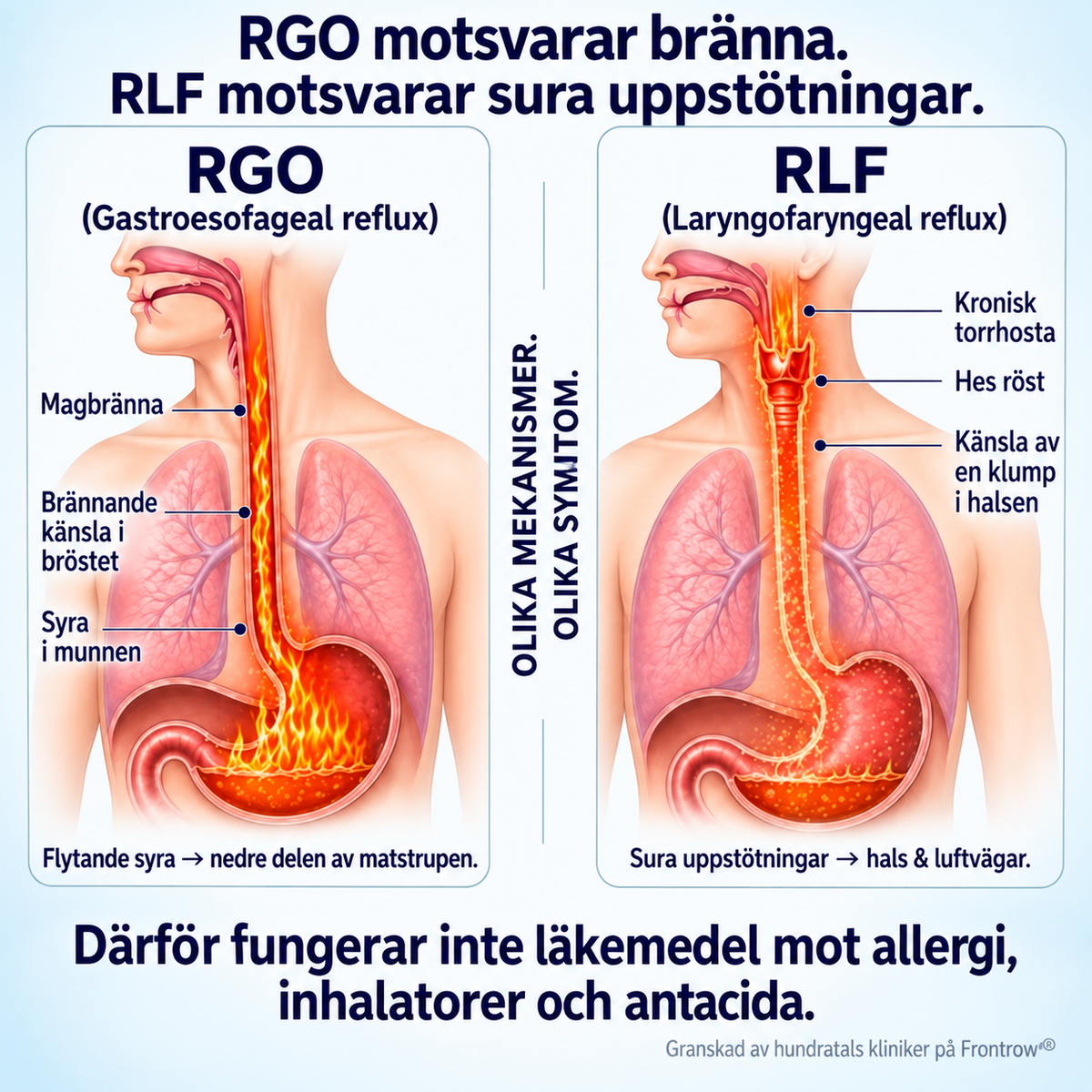 Thalira™ | Flytande formula för lugnare hals & behagligare kvällar